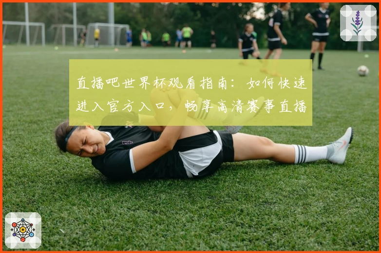 直播吧世界杯观看指南:如何快速进入官方入口,畅享高清赛事直播体验