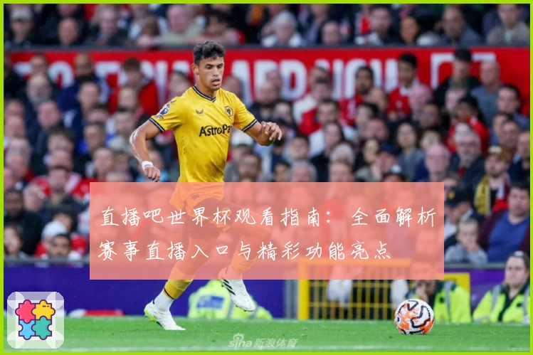 直播吧世界杯观看指南：全面解析赛事直播入口与精彩功能亮点