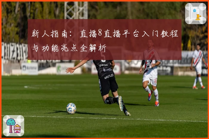 新人指南：直播8直播平台入门教程与功能亮点全解析