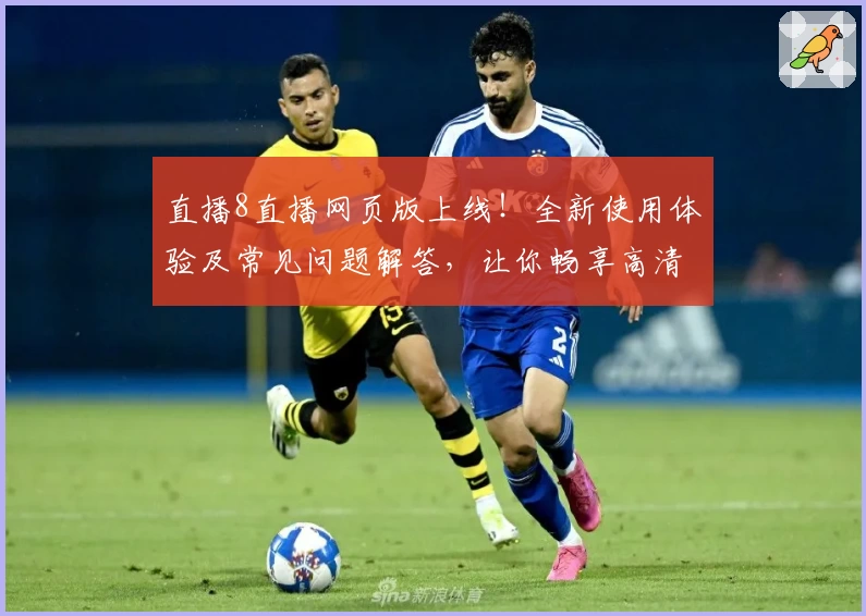 直播8直播网页版上线！全新使用体验及常见问题解答，让你畅享高清赛事